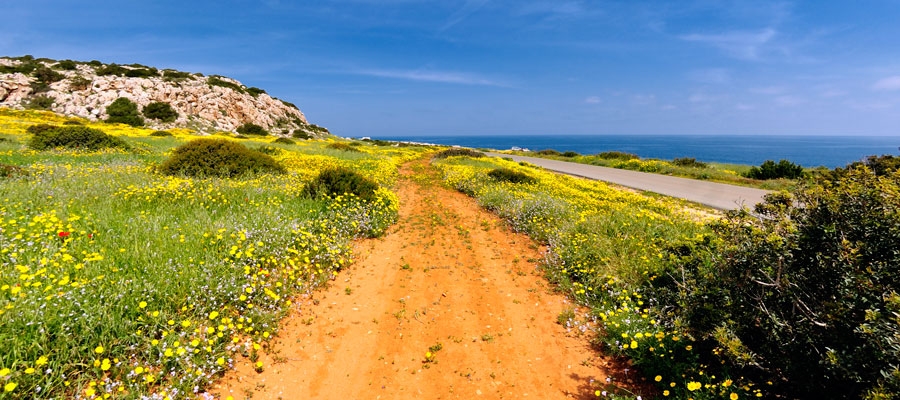 Aphrodite (Circular), Ammochostos (Famagusta) District, Cape Gkreko National Forest Park Nature Trail image